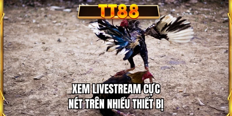 Xem livestream cực nét trên nhiều thiết bị